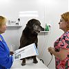 Жителям Кленовского предложили ознакомиться с возможностями Ветеринарной автоматизированной системы 