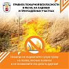 Правила пожарной безопасности в лесах, на садовых и приусадебных участках